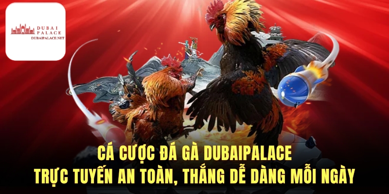 Hướng dẫn chơi Đá gà Dubaipalace nhanh chóng