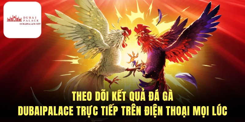 Khám phá tính năng và ưu điểm nổi bật