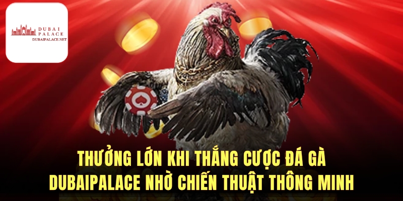 Bí quyết và chiến thuật Đá gà Dubaipalace